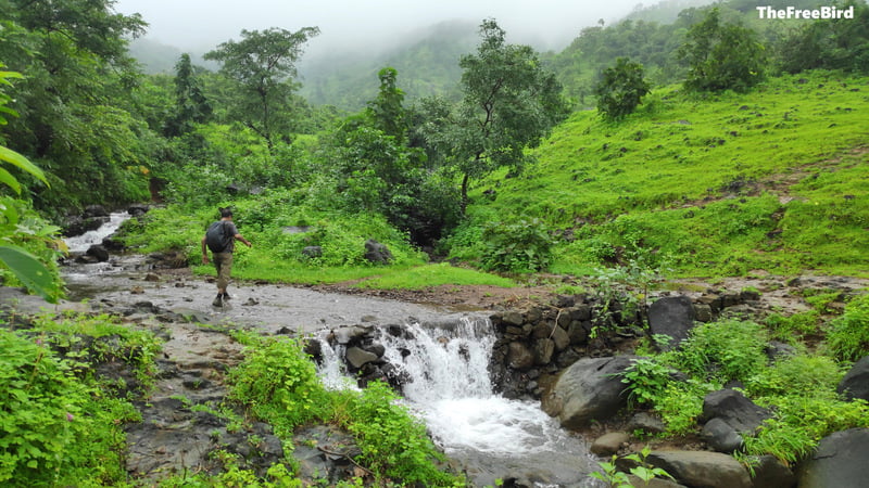 Crossing a small stream