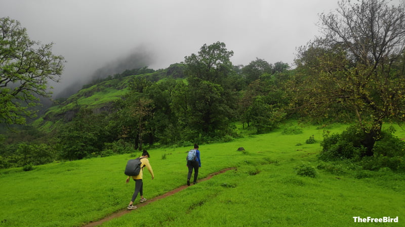 Rambaug Point Trek to Matheran BLog: Moving towards Chowki hidden in clouds in the background