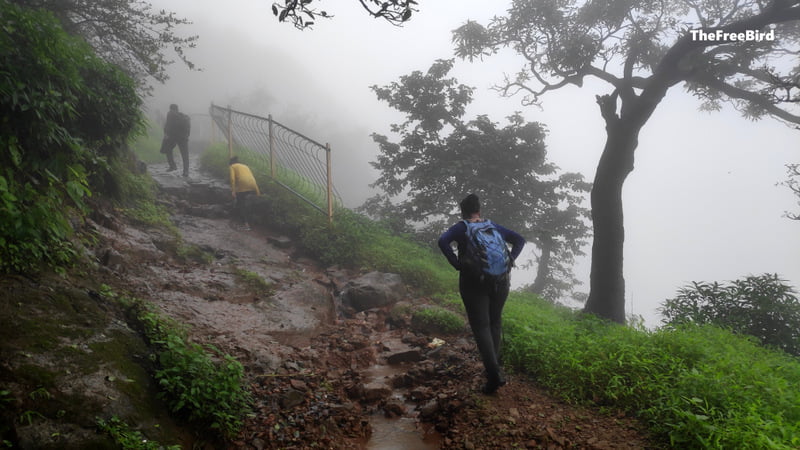 Reaching the top surrounded by clouds