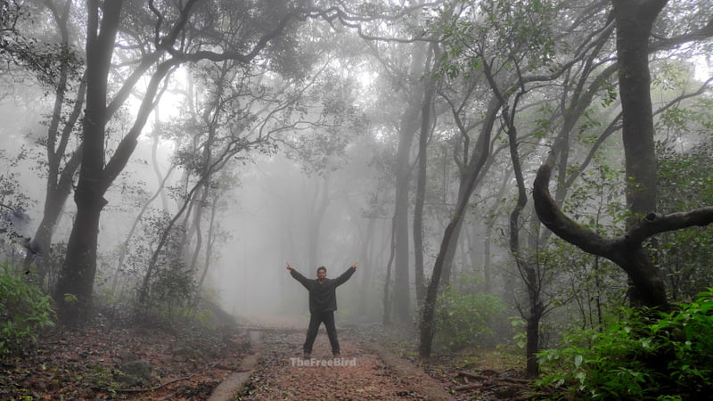 Walkign through clouds in Matheran