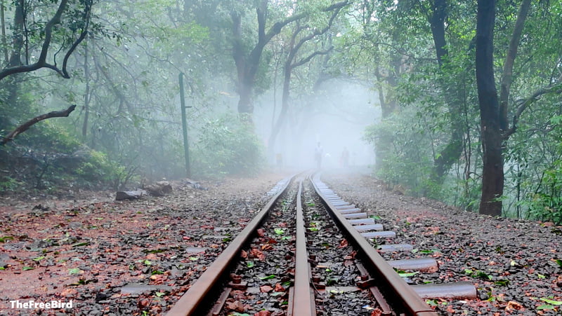 Matheran train route in monsoon