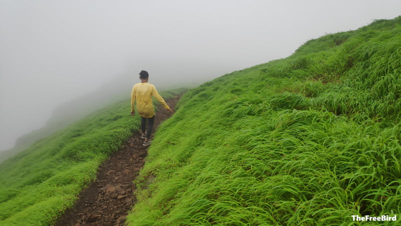 Garbett point trek to Matheran BLog - Descending from Garbett point to plateauto