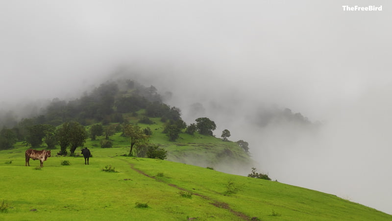 Clouds flying across the Garbett plateau