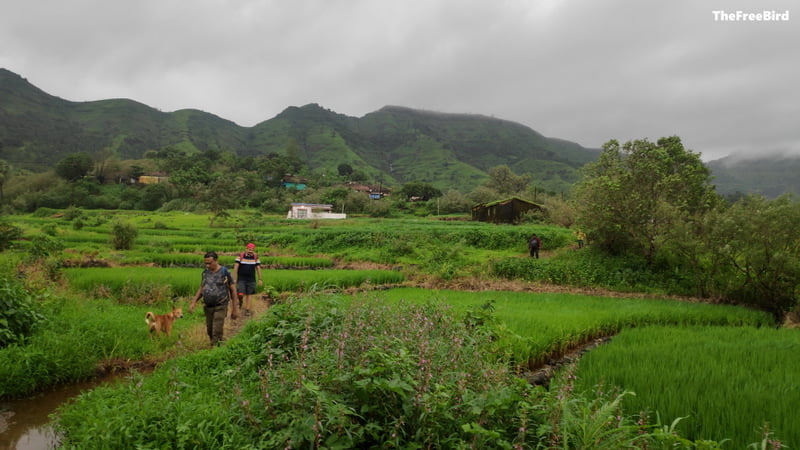 Garbett trek through Sagachiwadi