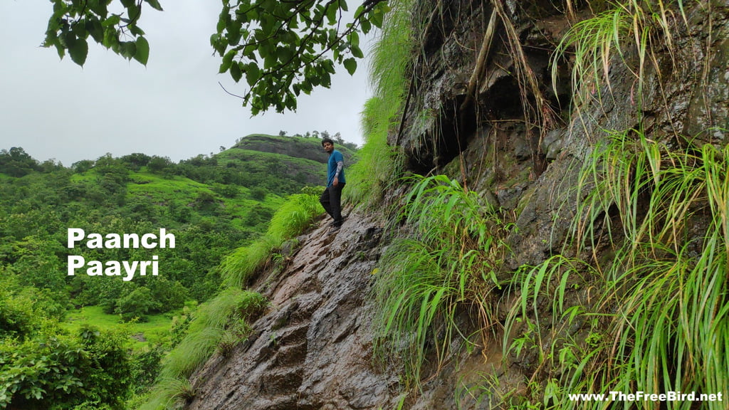 KP falls - Khopoli Railway bridge waterfall - Panch Payri