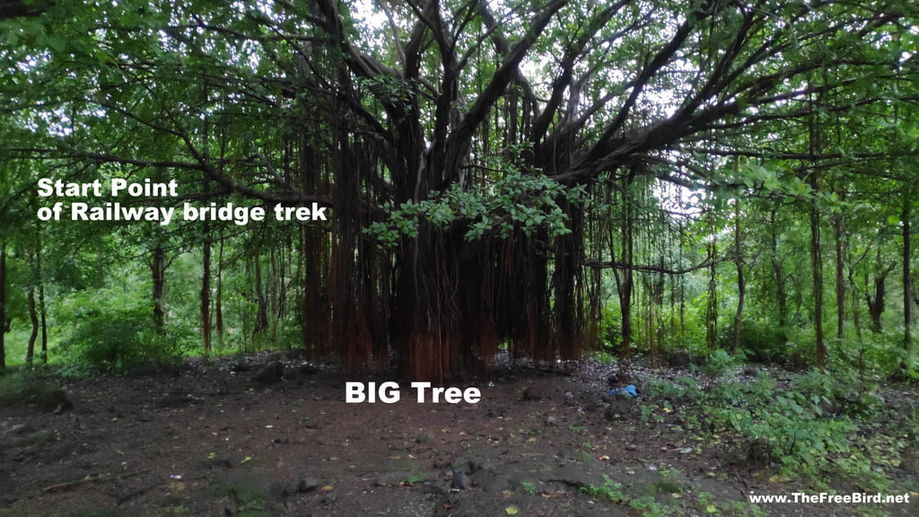 KP falls - Khopoli Railway bridge waterfall - Trek start point