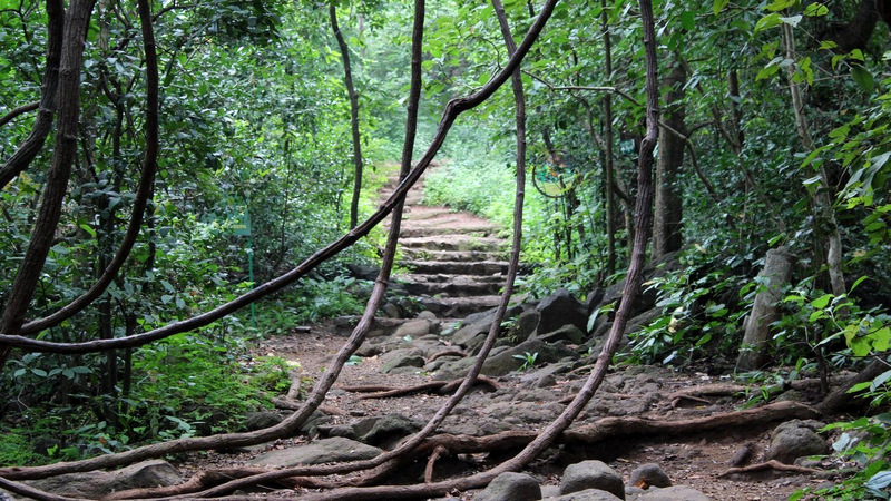 karnala trek begins