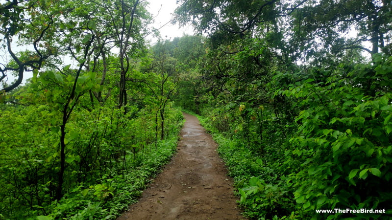 songiri fort trek difficulty level