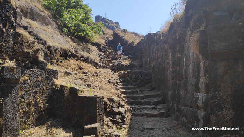 Rajmachi fort trek blog