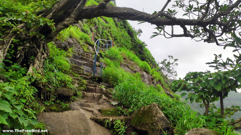 Rock cut stairs at Nath Baba caves