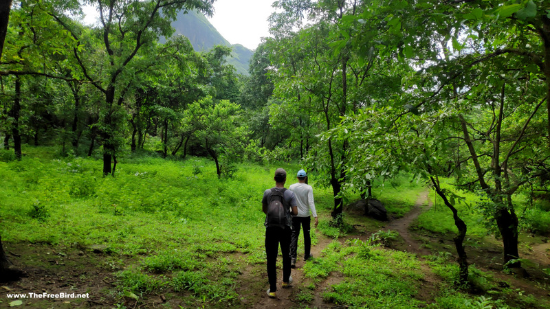 manikgad jungle trek