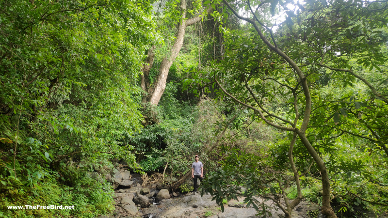 manikgad waterfall