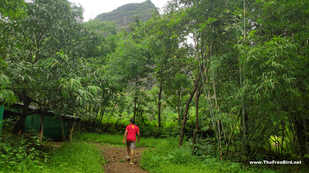 Nanemachi waterfall trek starts