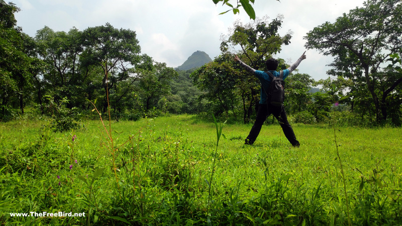 songiri forest trek