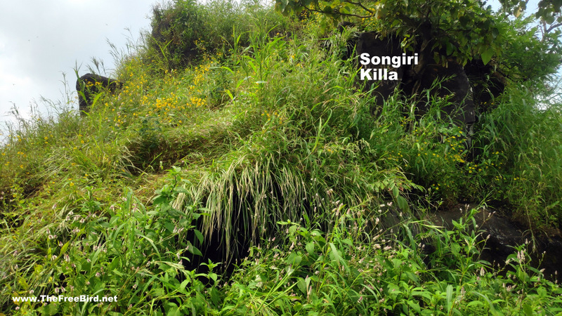 songiri fort palasdhari in monsoon