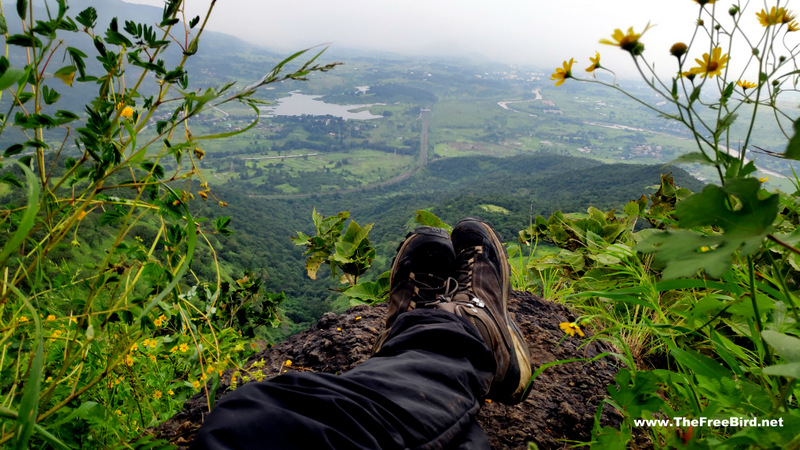 View from Songiri trek