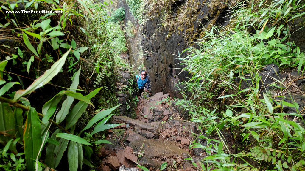 Secret Risky route to go down the Kumbhe waterfall