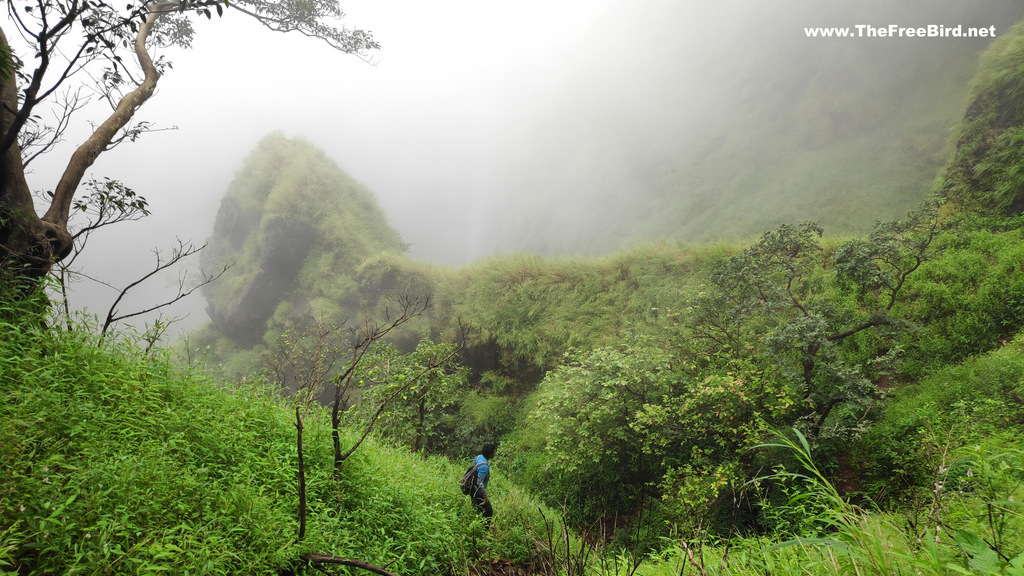 Kumbhe waterfall trek blog