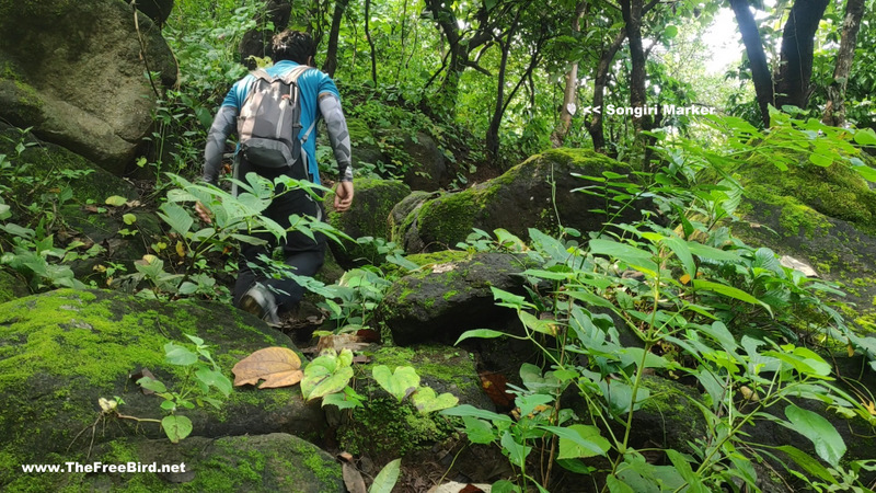 Songiri trek route mapping