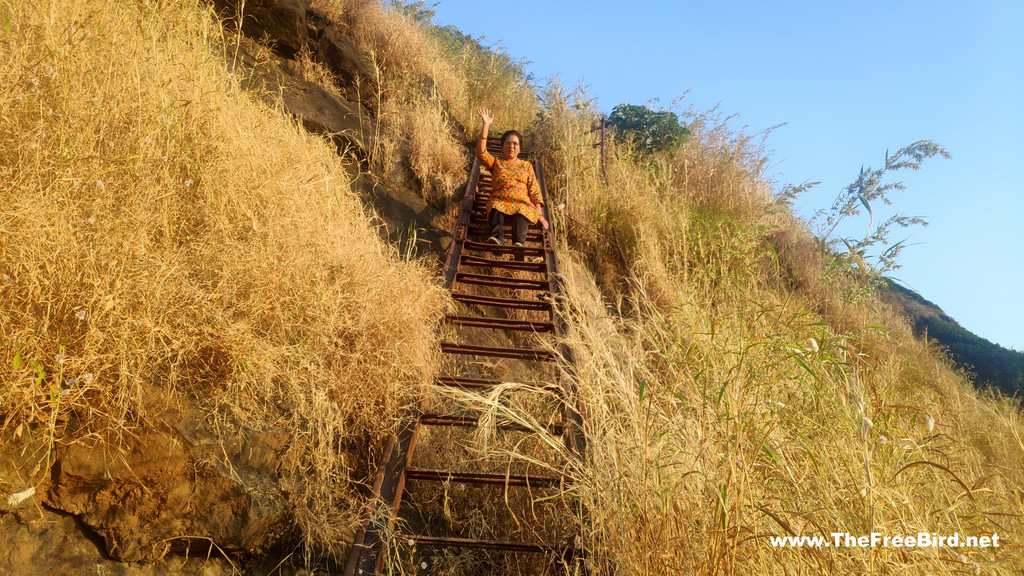 Peb fort: Ladders