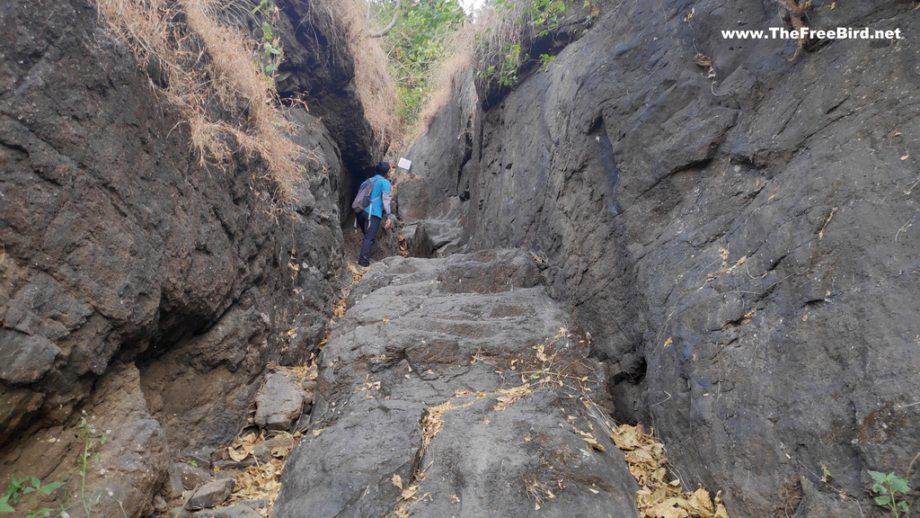 bhimgad bhivgad trek blog - rock stairs route