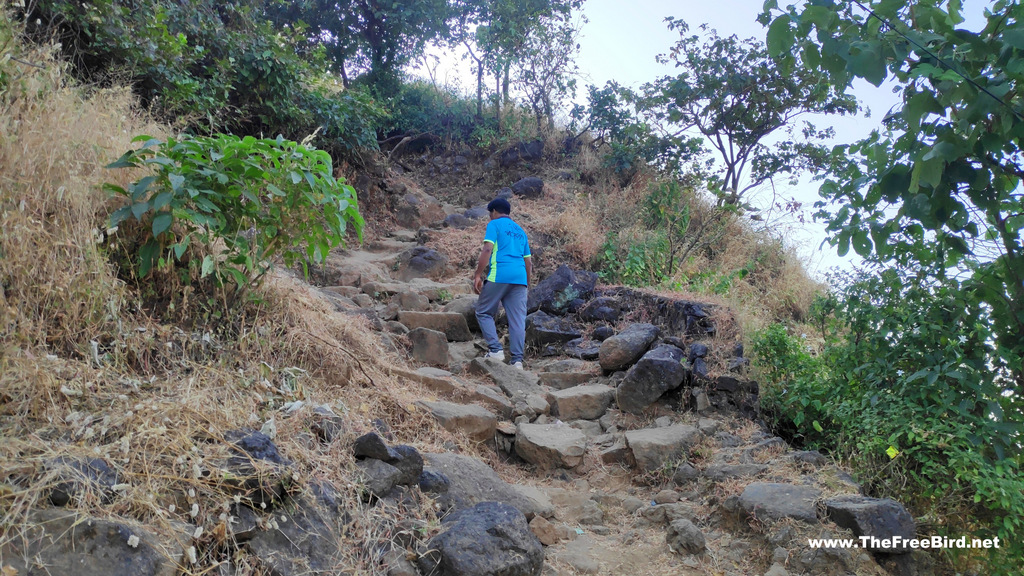 Kalavantin durg trek route