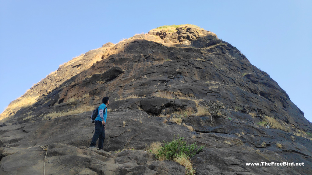 huge kalavantin sulka