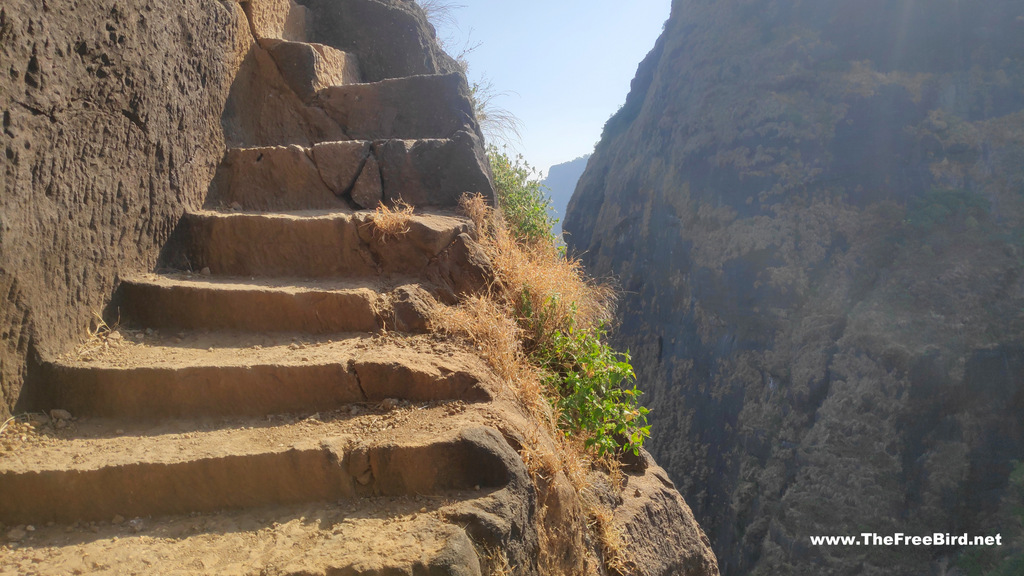 kalavantin durg trek blog stairs