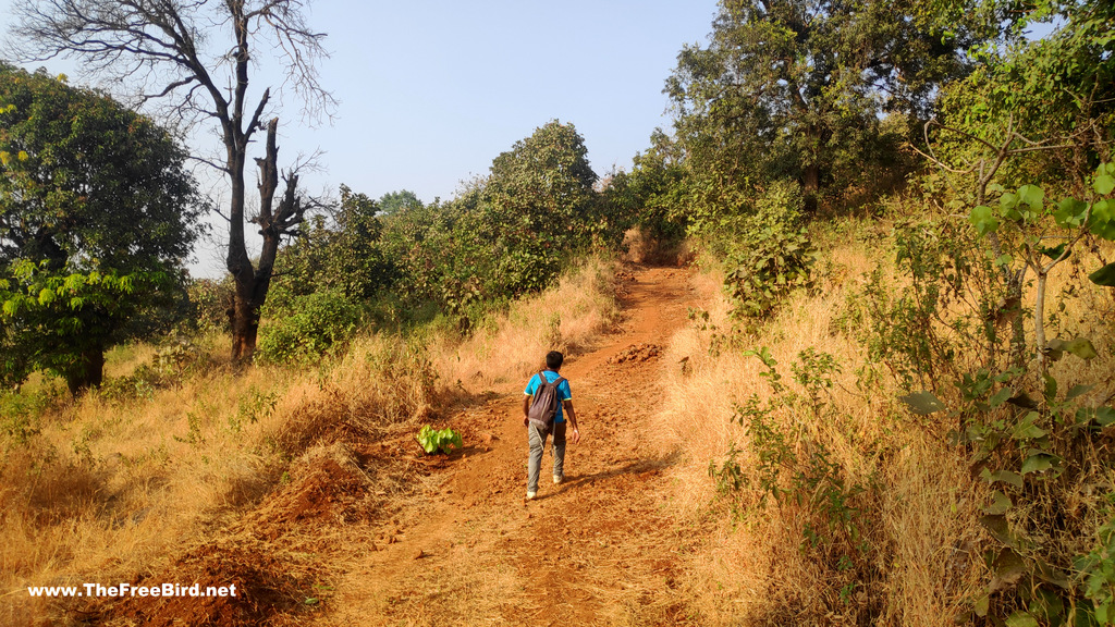 The Route for one tree hill trek matheran blog