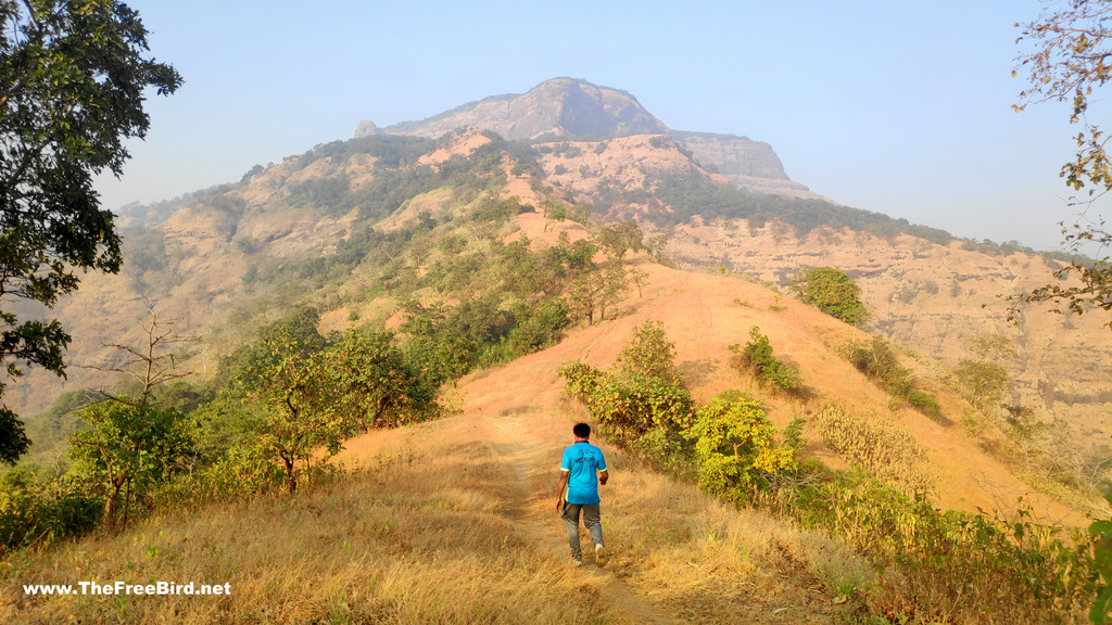 Ridge climbing during one tree hill point trek to matheran