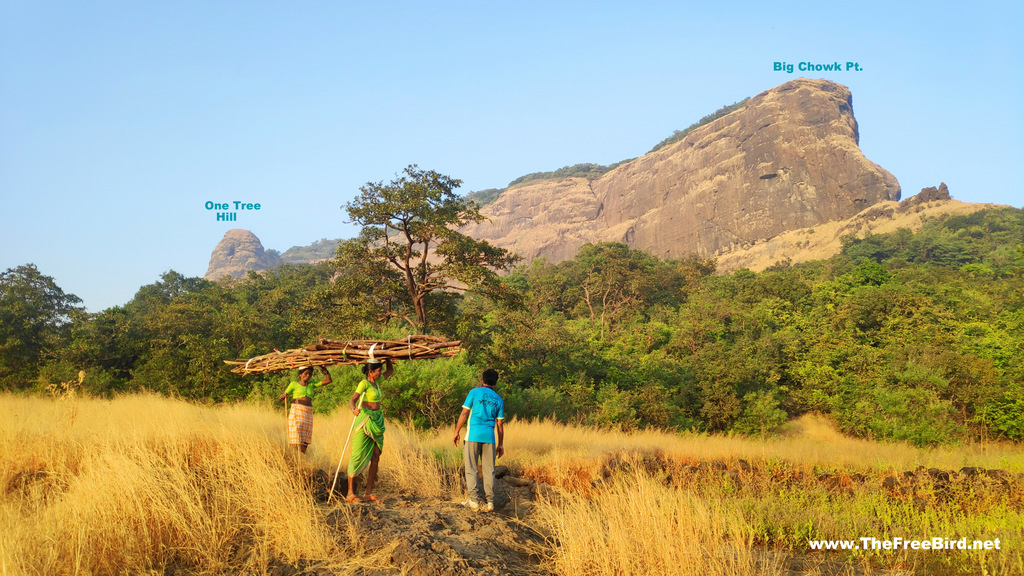 Plateau of one tree hill point trek to matheran blog