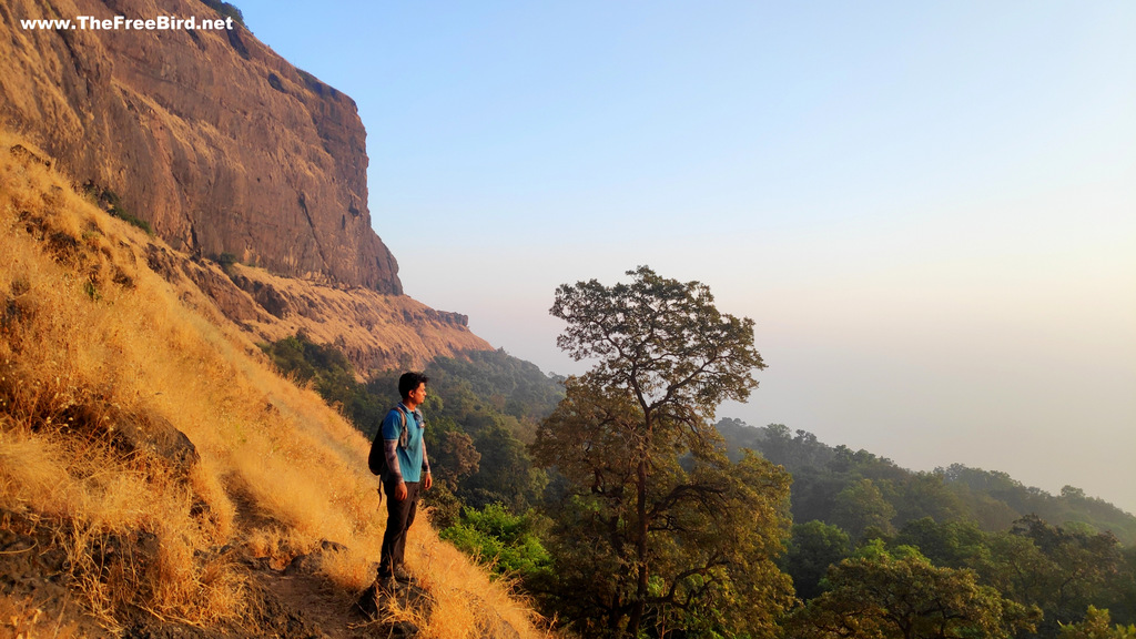Shivaji Ladder at one tree hill point trek to matheran