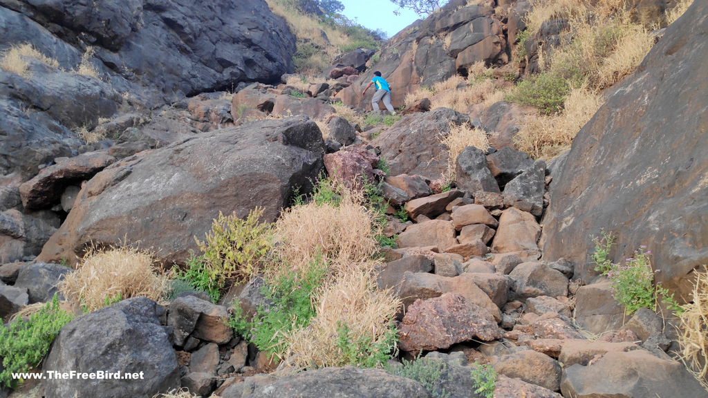 Shivaji ladder at one tree hill point trek to matheran