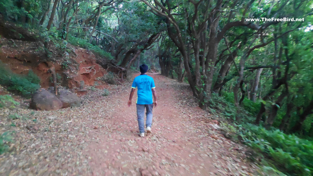 one tree hill trek matheran