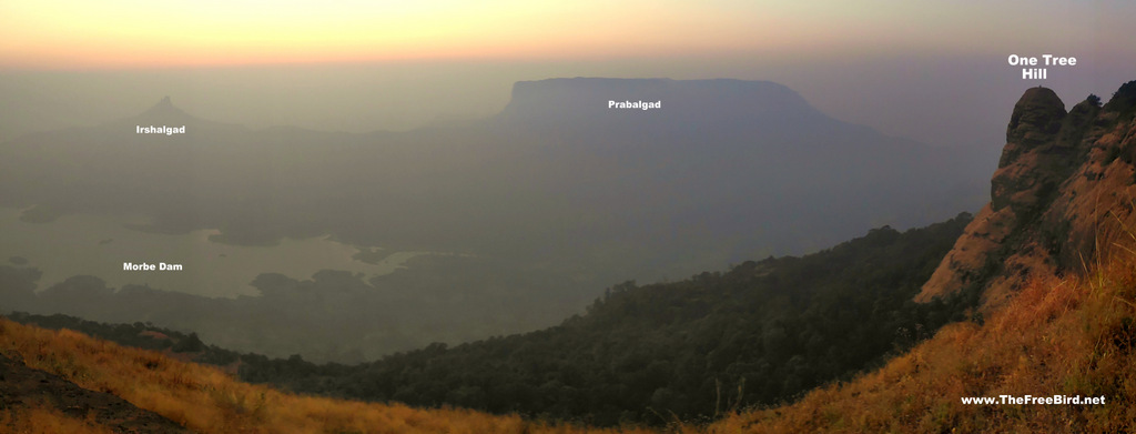 one tree hill point trek blog - forts visible are Irshalgad , Prabalgad & Morbe dam