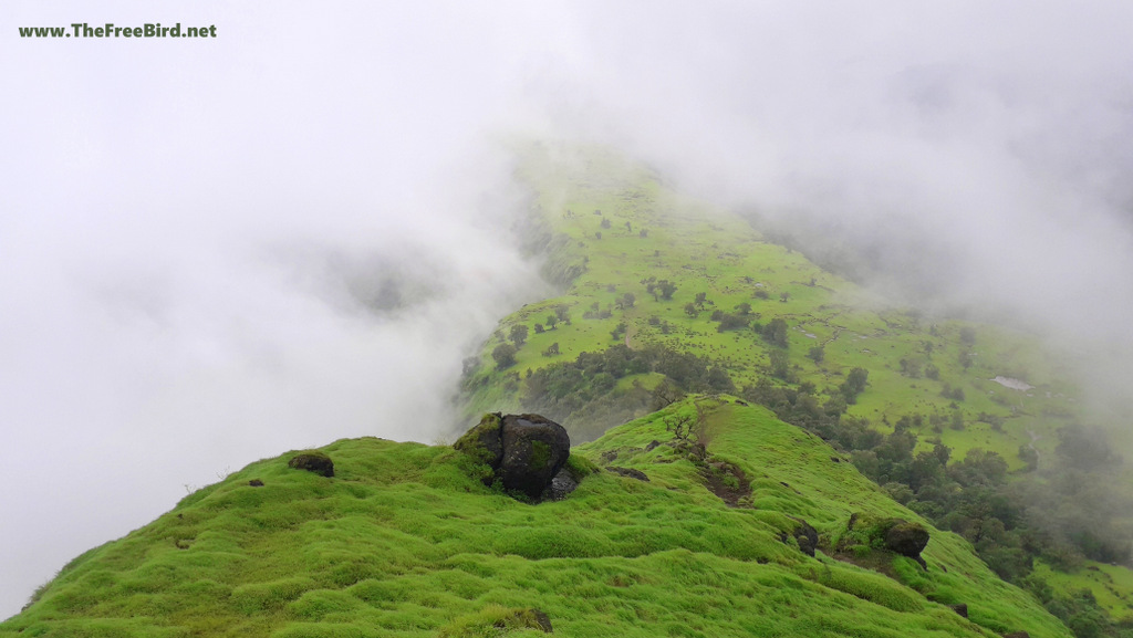 Garbett point trek blog: garbett plateau hidden in monsoon clouds