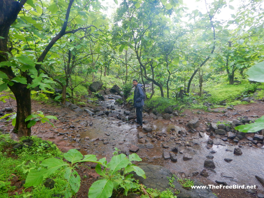 Streams on kondana caves trek