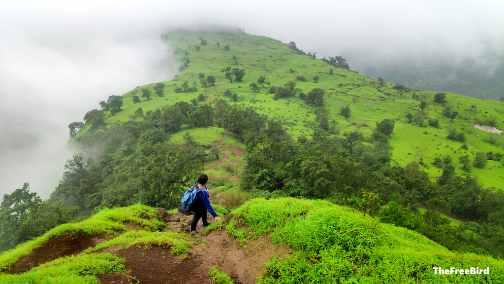 Matheran Garbett plateau visible from Garbett point during trek