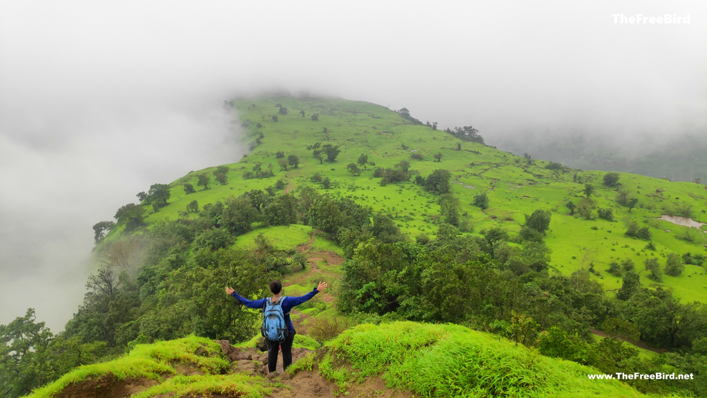 Clouds at Garbett plateau trek - during the most beautiful garbett point trek blog