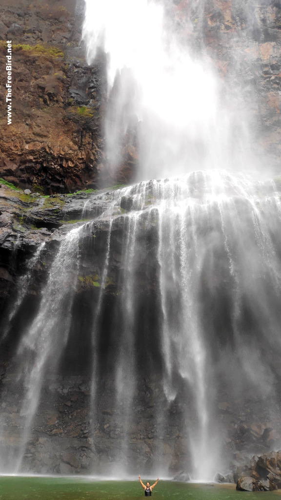 Nanemachi waterfall trek is beautiful with green water