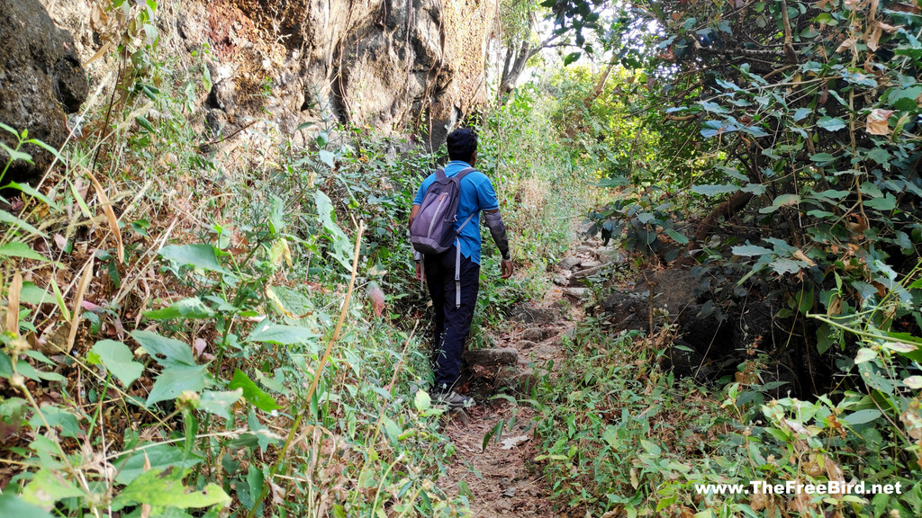 Trees covering the trek route to Sunset Point Matheran trek from Dhodhani