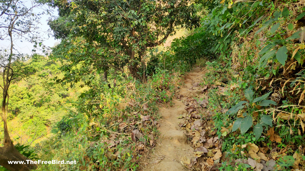 Trail of Dhodani Matheran trek to porcupine point , sunset point