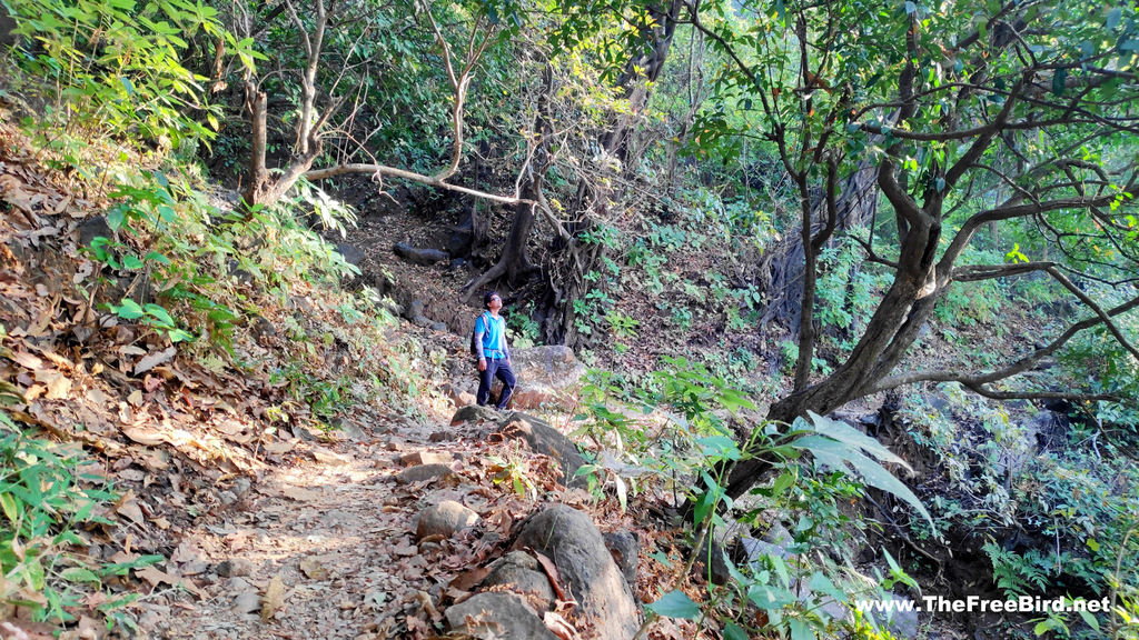 Jungle on Matheran trek to sunset point & porcupine point