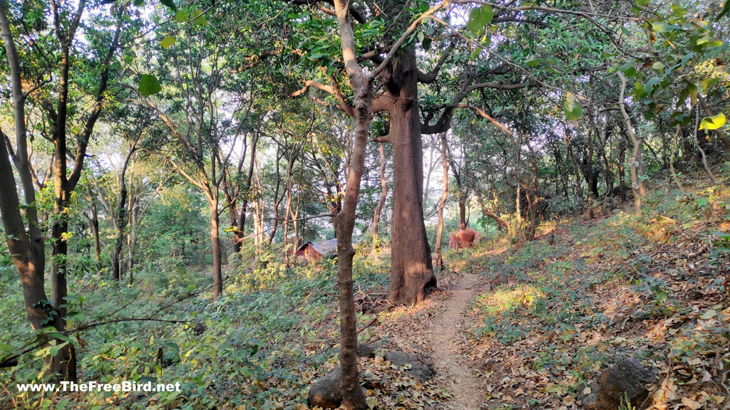 Temple on Dhodhani trek to Matheran sunset point aka porcupine point