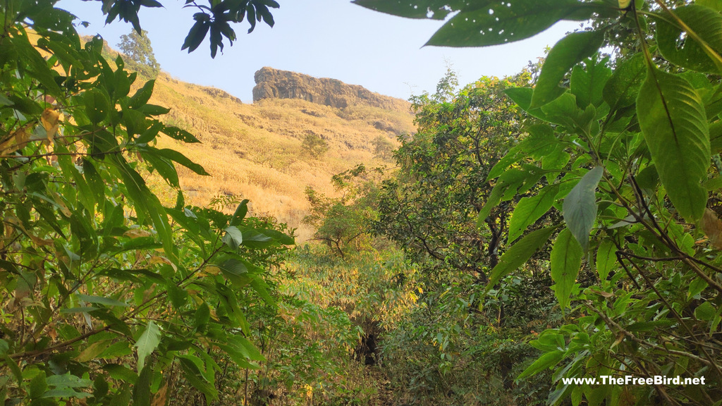 Porcupine point aka sunset point visible from dhodhani trek to matheran