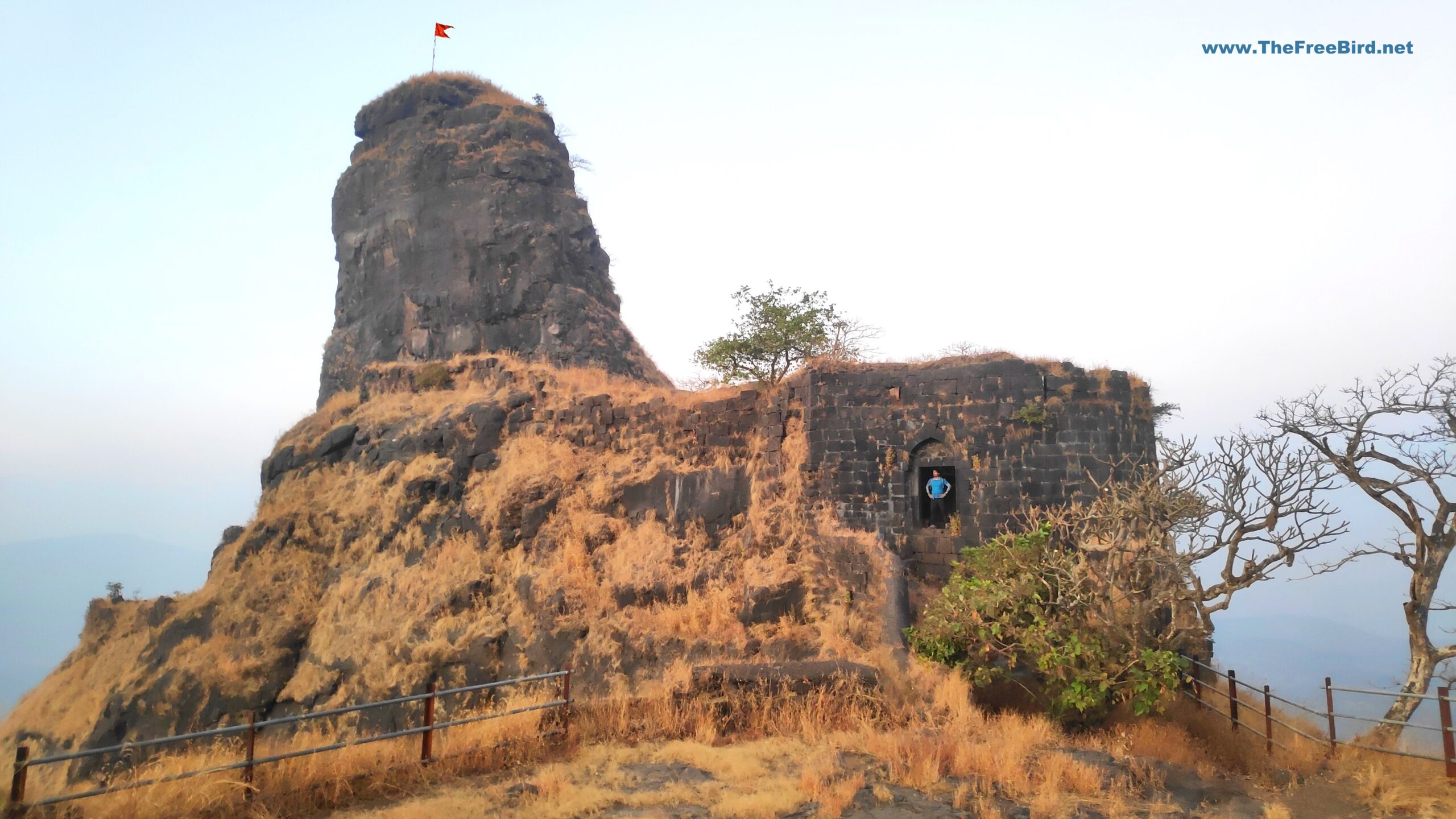 Karnala Bird sanctuary information