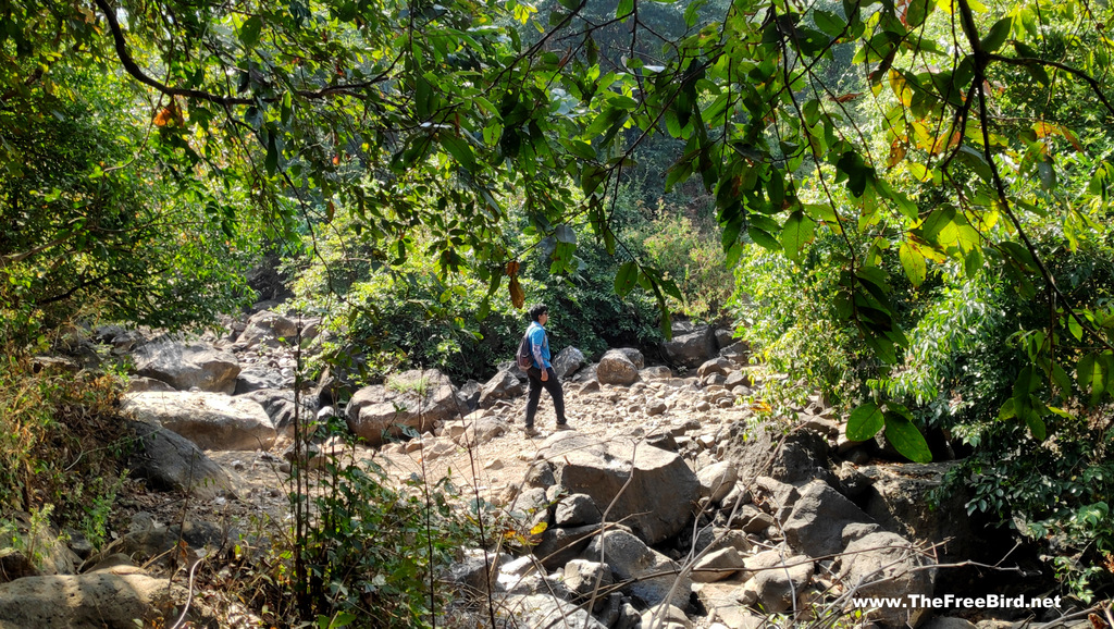 Stream Crossing on Hashyachi Patti Trek to Matheran