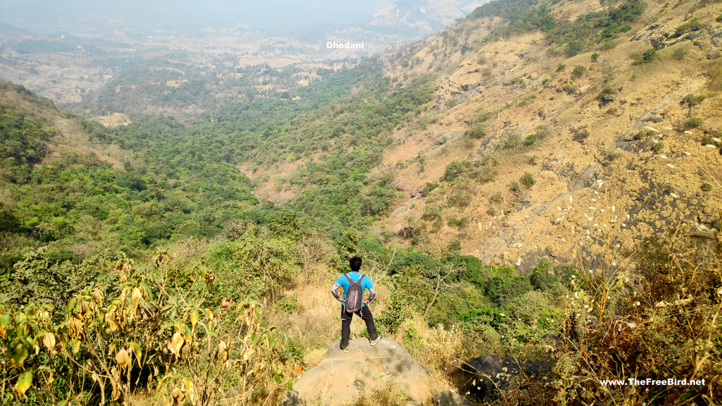 Jungle during Hashyachi Patti trek