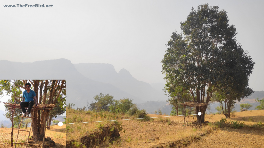 Kalavantin Prabalgad from Hashyachi Patti