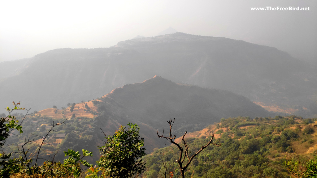 Hashyachi Patti from Malang Point Matheran